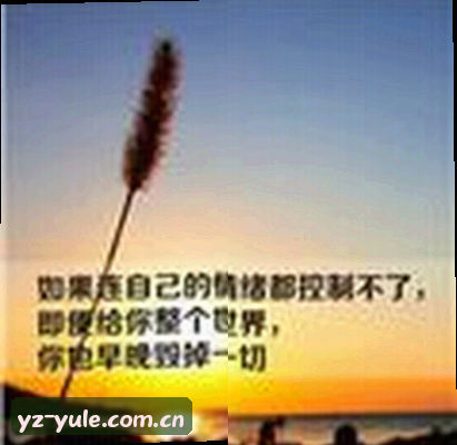 林涛